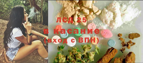 ГАЛЛЮЦИНОГЕННЫЕ ГРИБЫ Строитель