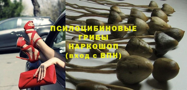 шишки Беломорск